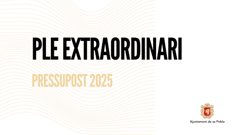 PRESSUPOST 2025